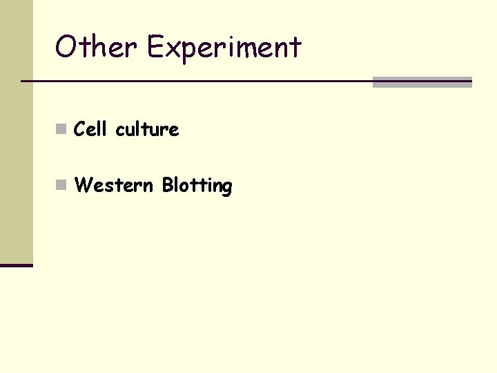 Other Experiment n Cell culture n Western Blotting 