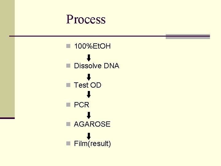 Process n 100%Et. OH n Dissolve DNA n Test OD n PCR n AGAROSE