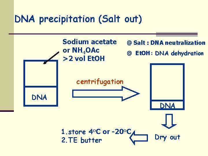 DNA precipitation (Salt out) Sodium acetate or NH 4 OAc >2 vol Et. OH