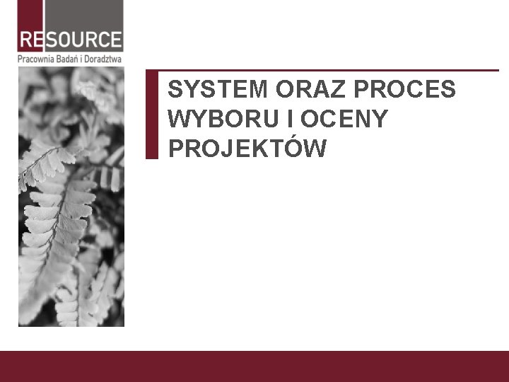 SYSTEM ORAZ PROCES WYBORU I OCENY PROJEKTÓW 