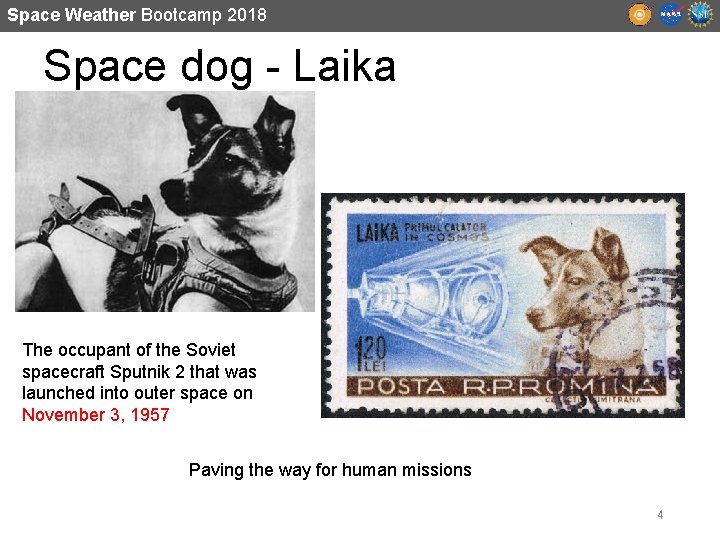 Space Weather Bootcamp 2018 Space dog - Laika The occupant of the Soviet spacecraft