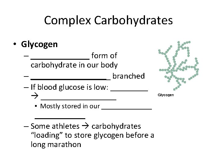 Complex Carbohydrates • Glycogen – _______ form of carbohydrate in our body – __________