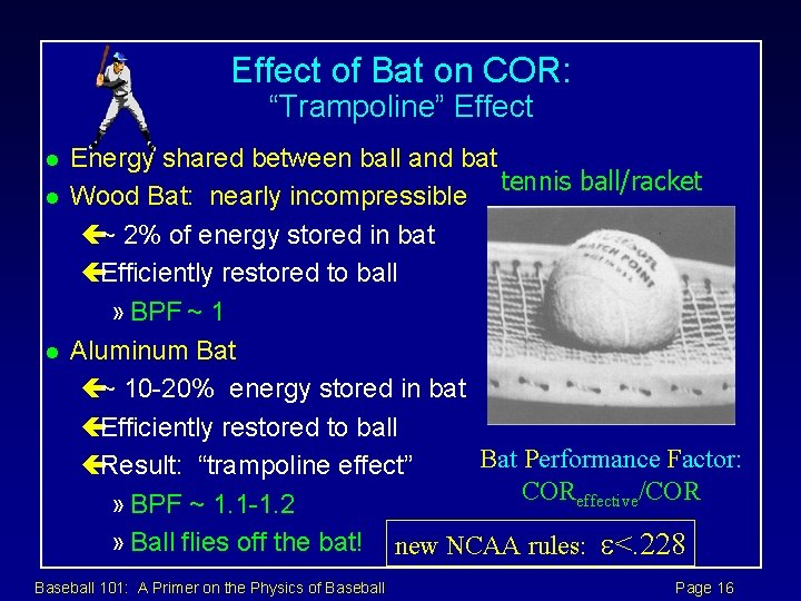 Effect of Bat on COR: “Trampoline” Effect l l l Energy shared between ball