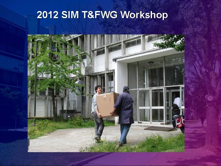 2012 SIM T&FWG Workshop 