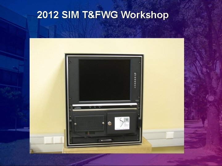 2012 SIM T&FWG Workshop 