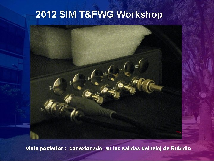 2012 SIM T&FWG Workshop Vista posterior : conexionado en las salidas del reloj de