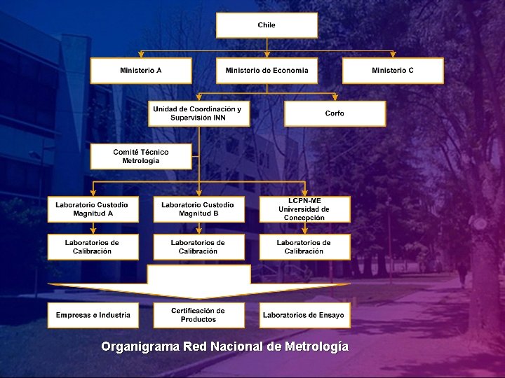 Organigrama Red Nacional de Metrología 