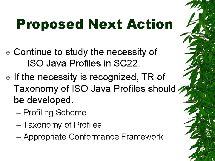 Proposed Next Action X X Continue to study the necessity of ISO Java Profiles