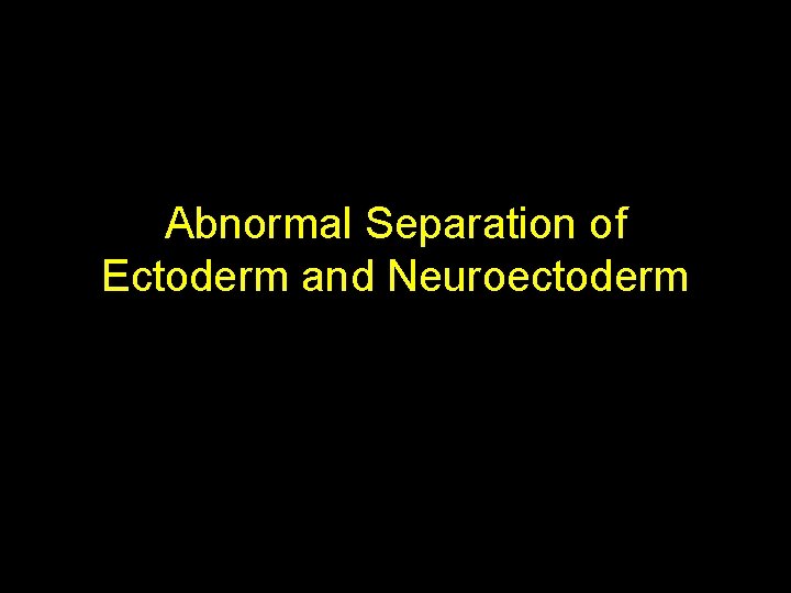 Abnormal Separation of Ectoderm and Neuroectoderm 