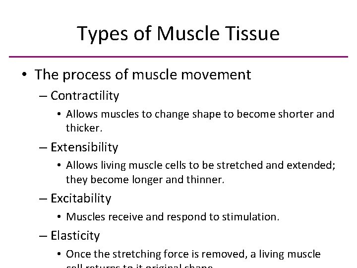 Types of Muscle Tissue • The process of muscle movement – Contractility • Allows