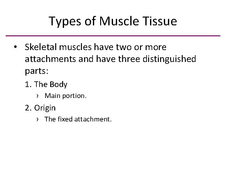 Types of Muscle Tissue • Skeletal muscles have two or more attachments and have