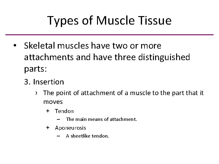 Types of Muscle Tissue • Skeletal muscles have two or more attachments and have