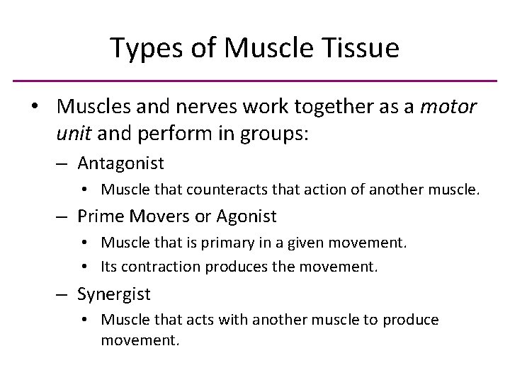 Types of Muscle Tissue • Muscles and nerves work together as a motor unit