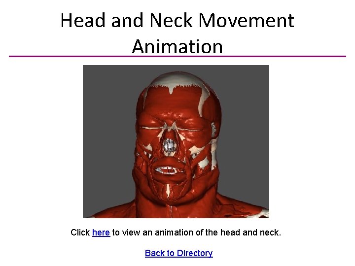 Head and Neck Movement Animation Click here to view an animation of the head