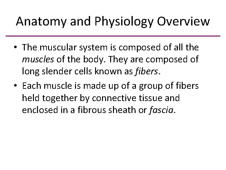 Anatomy and Physiology Overview • The muscular system is composed of all the muscles