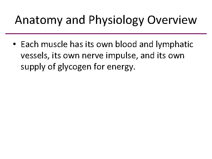 Anatomy and Physiology Overview • Each muscle has its own blood and lymphatic vessels,