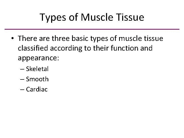 Types of Muscle Tissue • There are three basic types of muscle tissue classified
