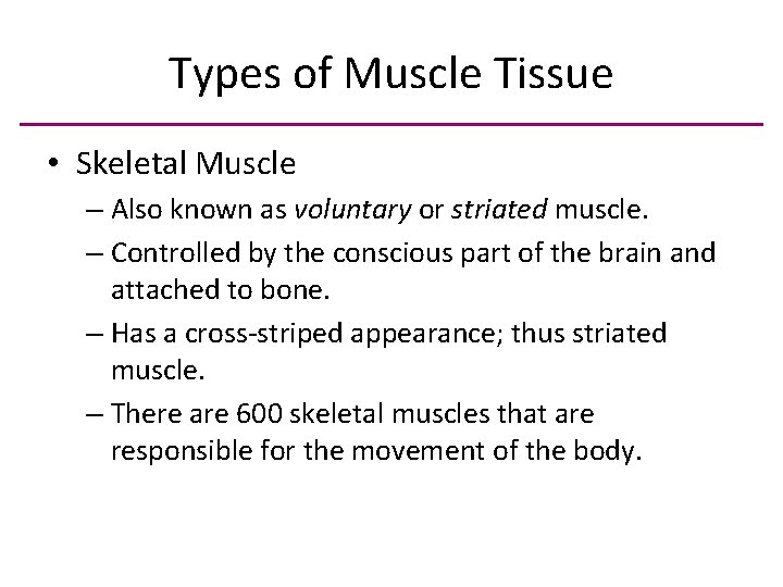 Types of Muscle Tissue • Skeletal Muscle – Also known as voluntary or striated