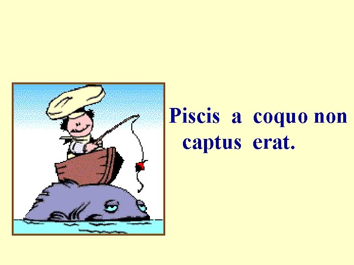 Piscis a coquo non captus erat. 