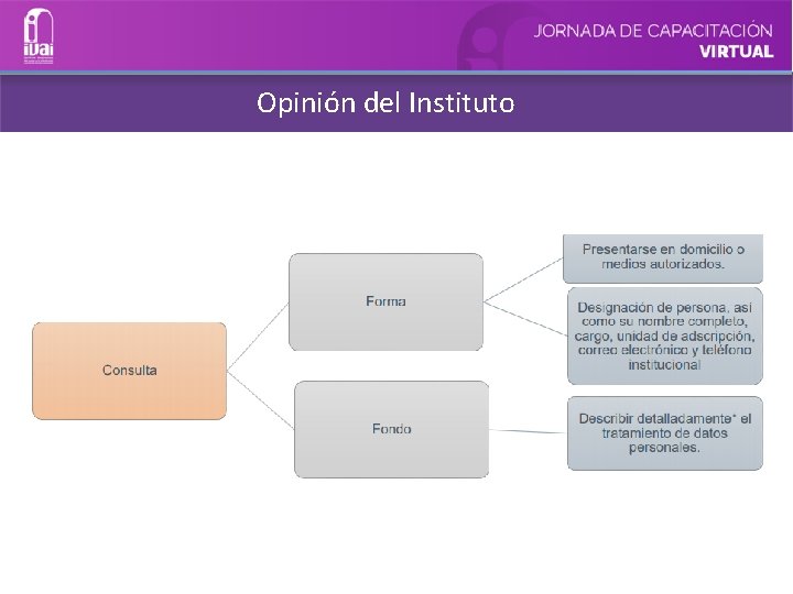 Opinión del Instituto 