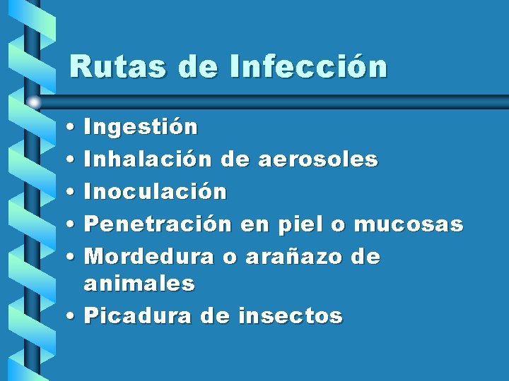 Rutas de Infección • Ingestión • Inhalación de aerosoles • Inoculación • Penetración en