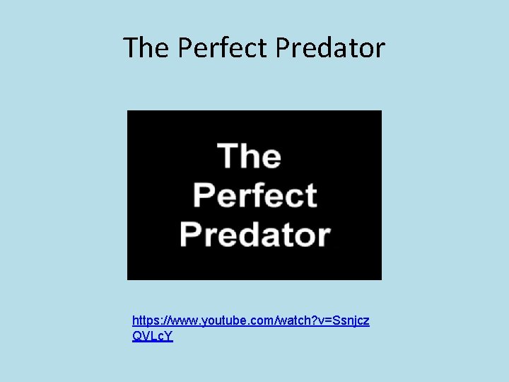 The Perfect Predator https: //www. youtube. com/watch? v=Ssnjcz QVLc. Y 