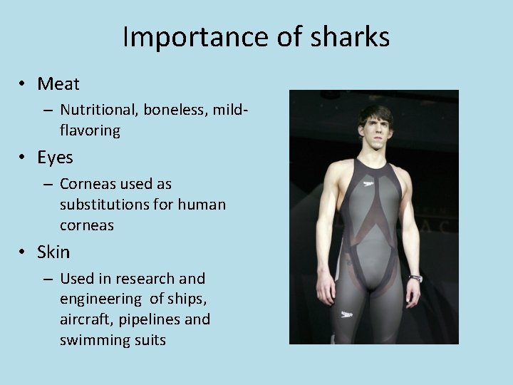 Importance of sharks • Meat – Nutritional, boneless, mildflavoring • Eyes – Corneas used