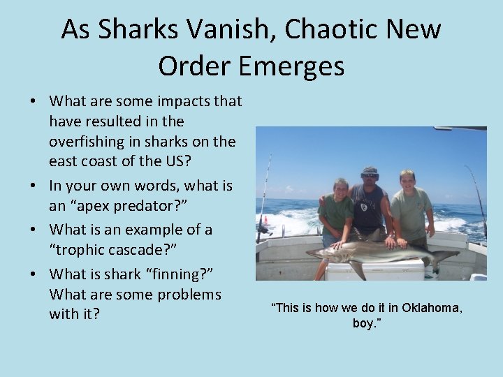 As Sharks Vanish, Chaotic New Order Emerges • What are some impacts that have