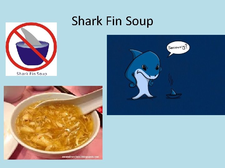 Shark Fin Soup 