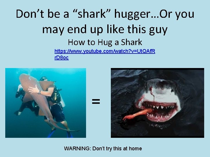 Don’t be a “shark” hugger…Or you may end up like this guy How to