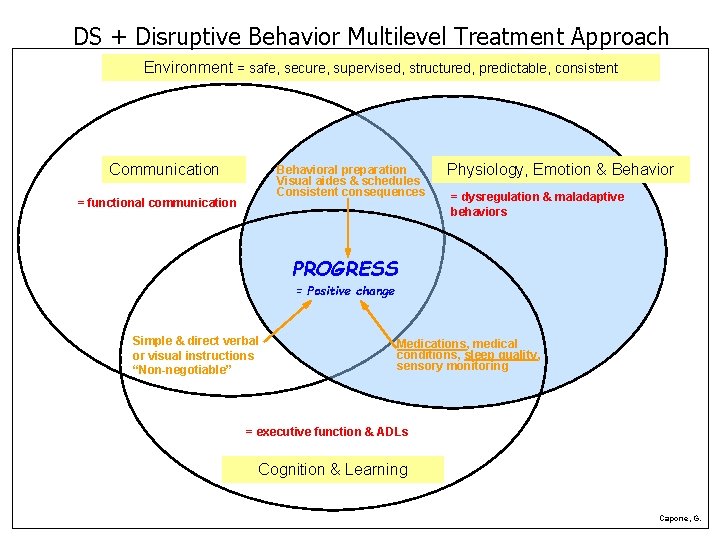DS + Disruptive Behavior Multilevel Treatment Approach Environment = safe, secure, supervised, structured, predictable,