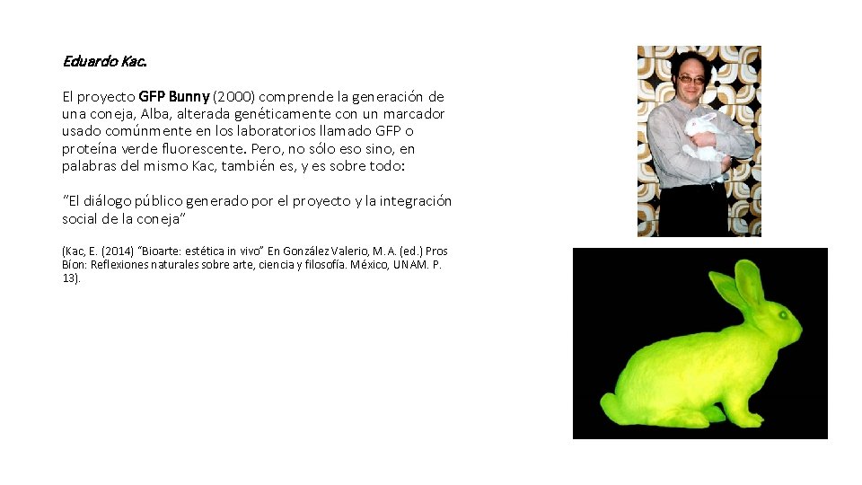 Eduardo Kac. El proyecto GFP Bunny (2000) comprende la generación de una coneja, Alba,