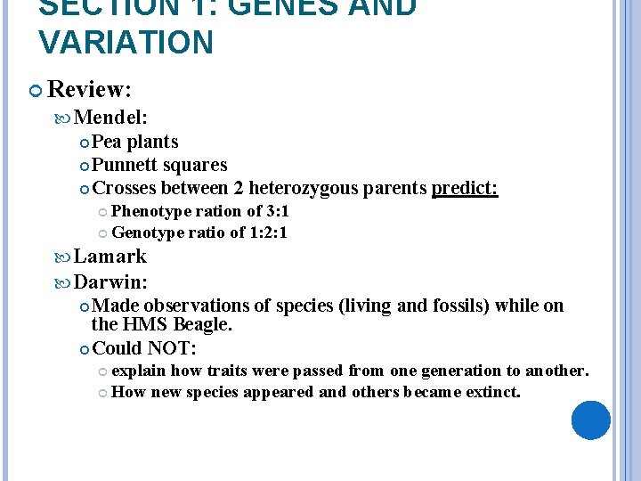 SECTION 1: GENES AND VARIATION Review: Mendel: Pea plants Punnett squares Crosses between 2