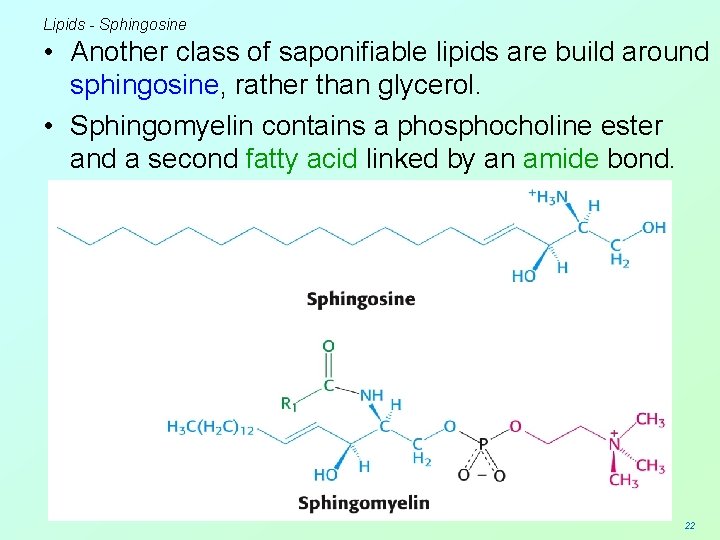 Lipids - Sphingosine • Another class of saponifiable lipids are build around sphingosine, rather