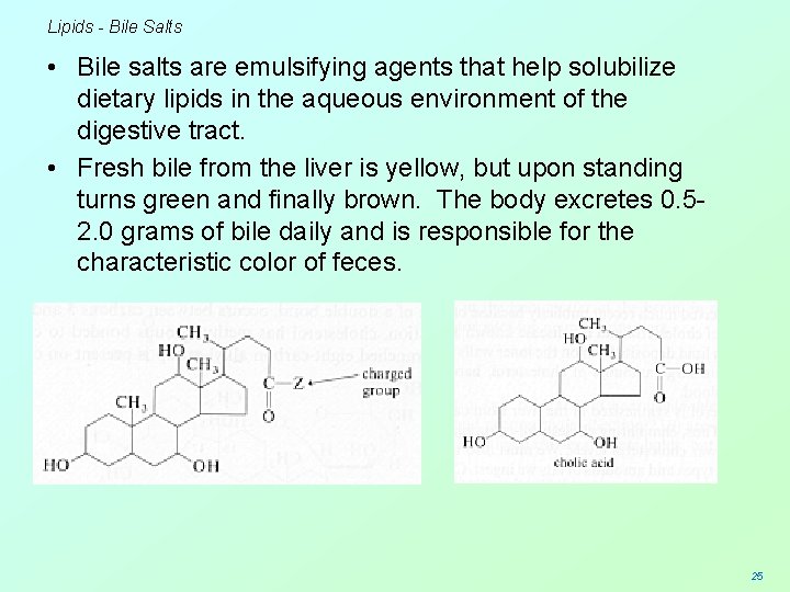Lipids - Bile Salts • Bile salts are emulsifying agents that help solubilize dietary