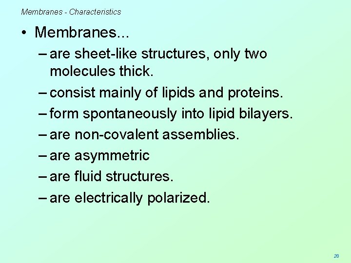 Membranes - Characteristics • Membranes. . . – are sheet-like structures, only two molecules
