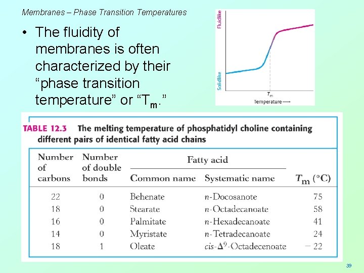 Membranes – Phase Transition Temperatures • The fluidity of membranes is often characterized by