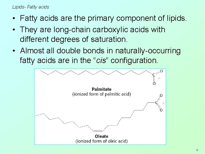 Lipids- Fatty acids • Fatty acids are the primary component of lipids. • They