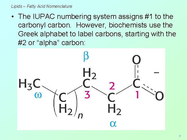 Lipids – Fatty Acid Nomenclature • The IUPAC numbering system assigns #1 to the