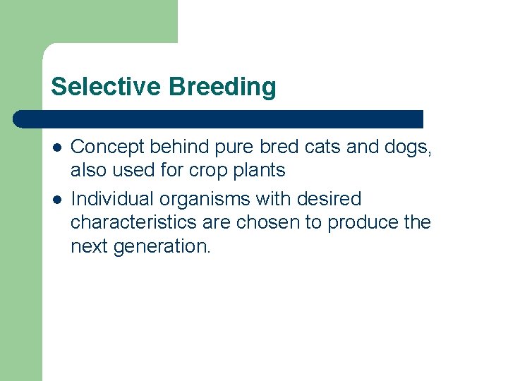 Selective Breeding l l Concept behind pure bred cats and dogs, also used for