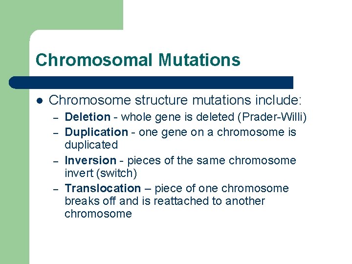 Chromosomal Mutations l Chromosome structure mutations include: – – Deletion - whole gene is
