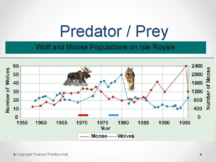 Predator / Prey Wolf and Moose Populations on Isle Royale Copyright Pearson Prentice Hall