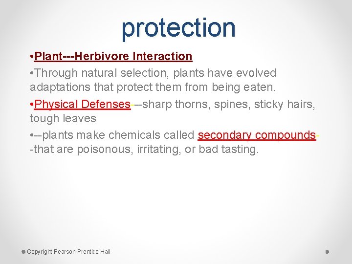protection • Plant---Herbivore Interaction • Through natural selection, plants have evolved adaptations that protect