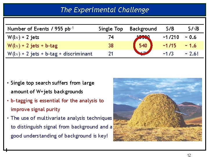 The Experimental Challenge Number of Events / 955 pb-1 Single Top Background S/B S/