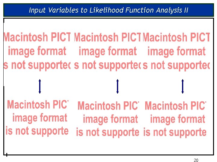 Input Variables to Likelihood Function Analysis II 20 