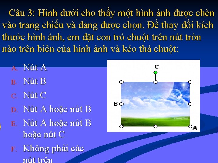 Câu 3: Hình dưới cho thấy một hình ảnh được chèn vào trang chiếu