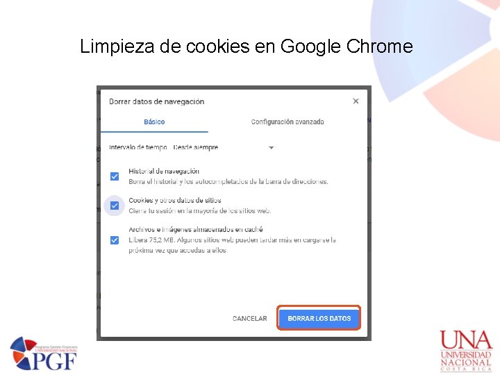 Limpieza de cookies en Google Chrome 
