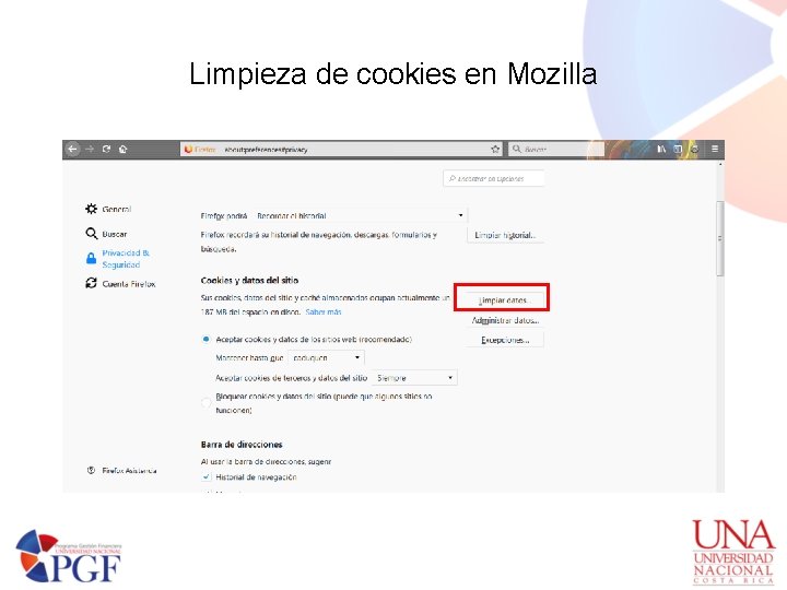 Limpieza de cookies en Mozilla 