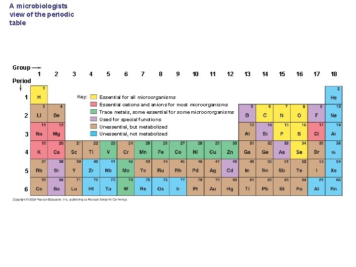A microbiologists view of the periodic table Group 1 2 4 3 5 6
