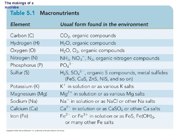 The makings of a microbe 